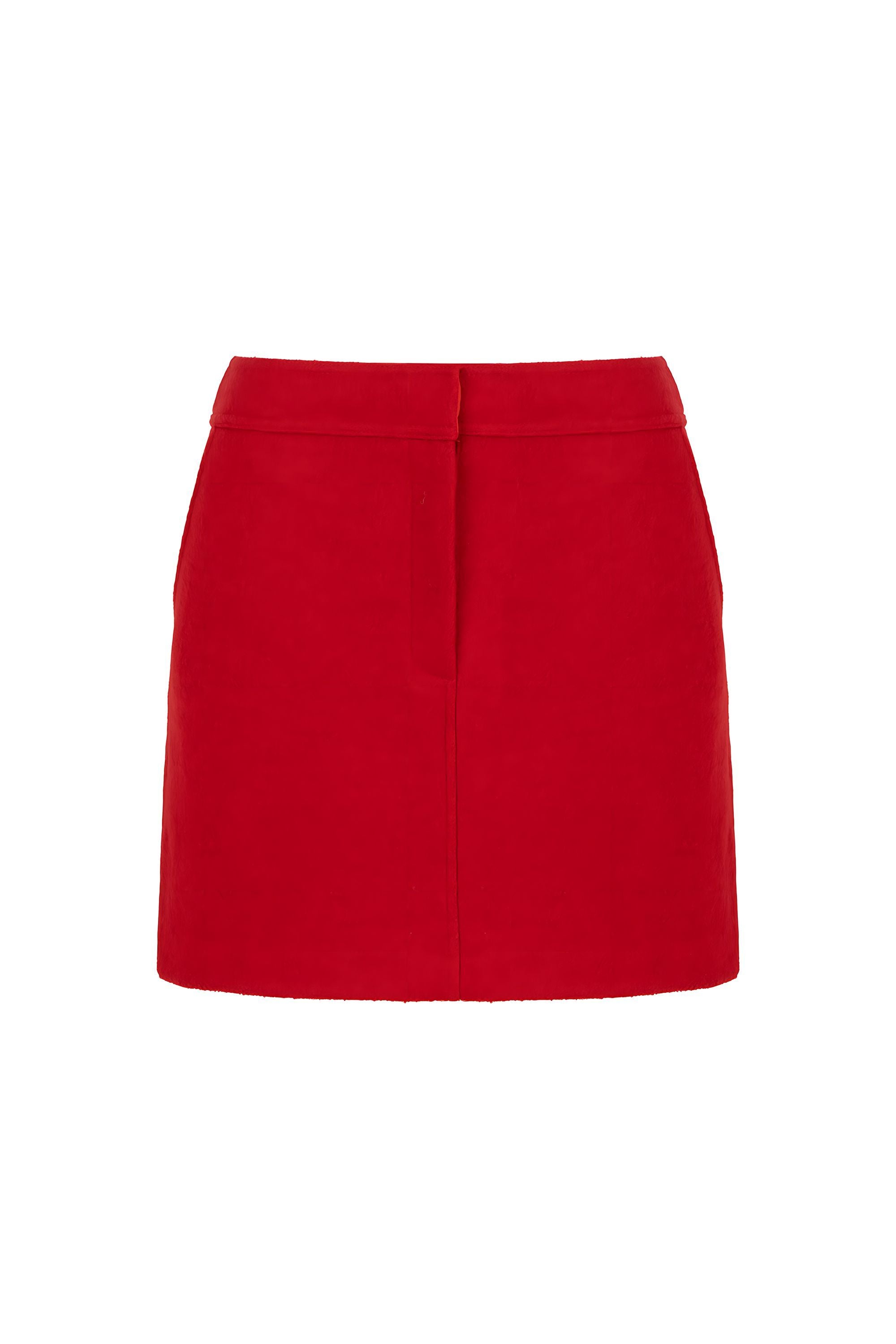 Cachet Mini Skirt