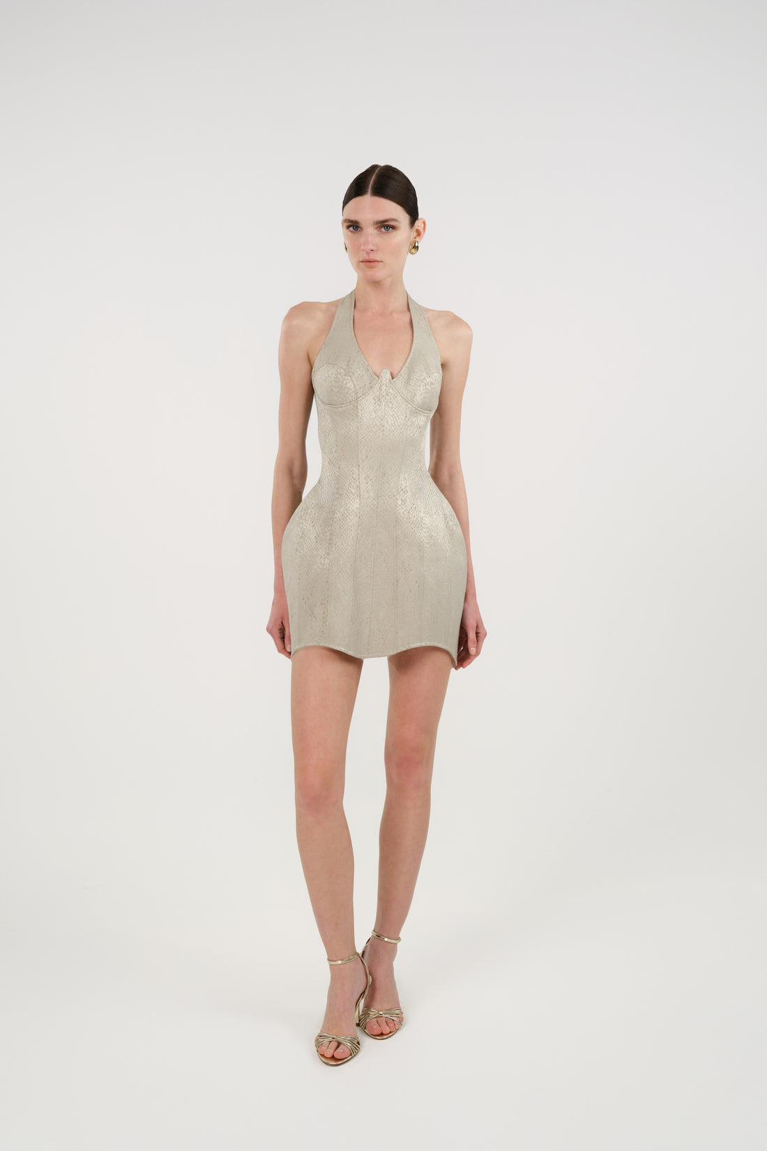 Snake-Print Boned Mini Corset Dress