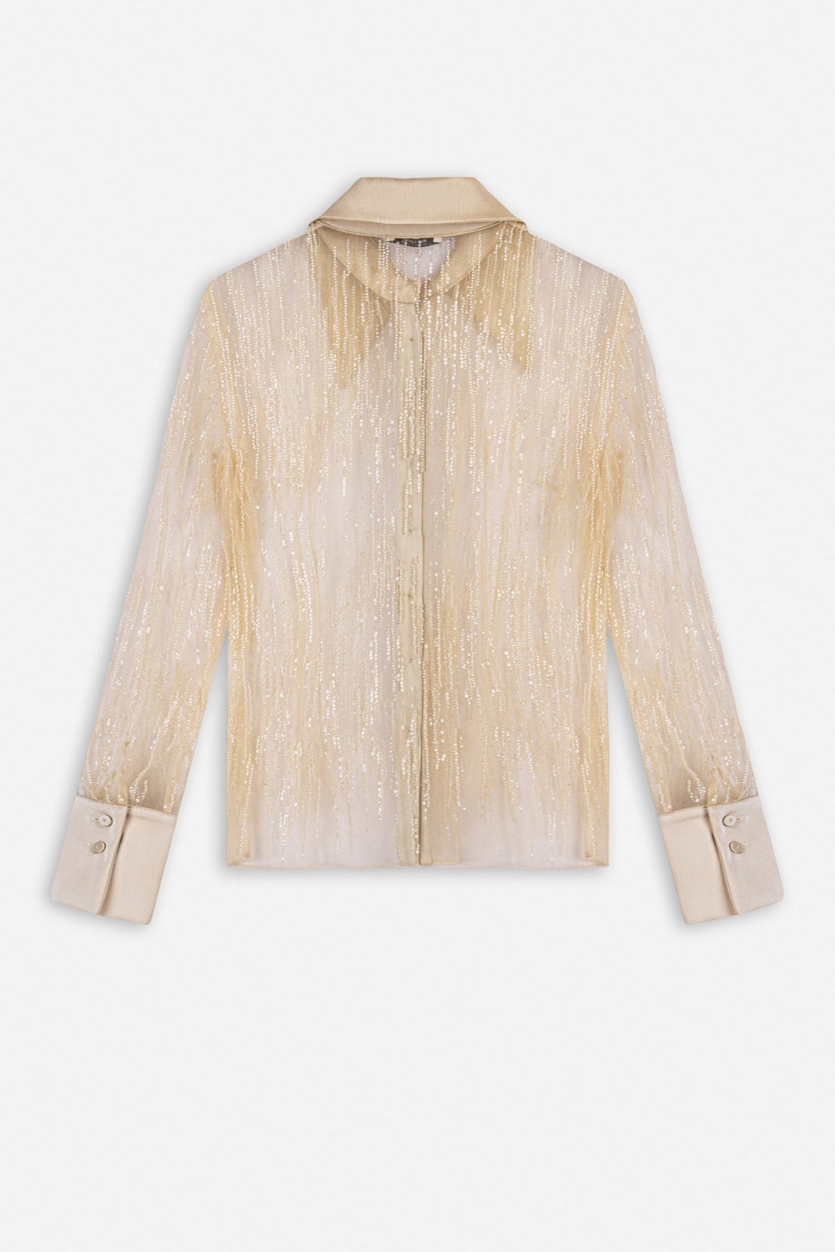 Sheer Metallic Thread Shirt
