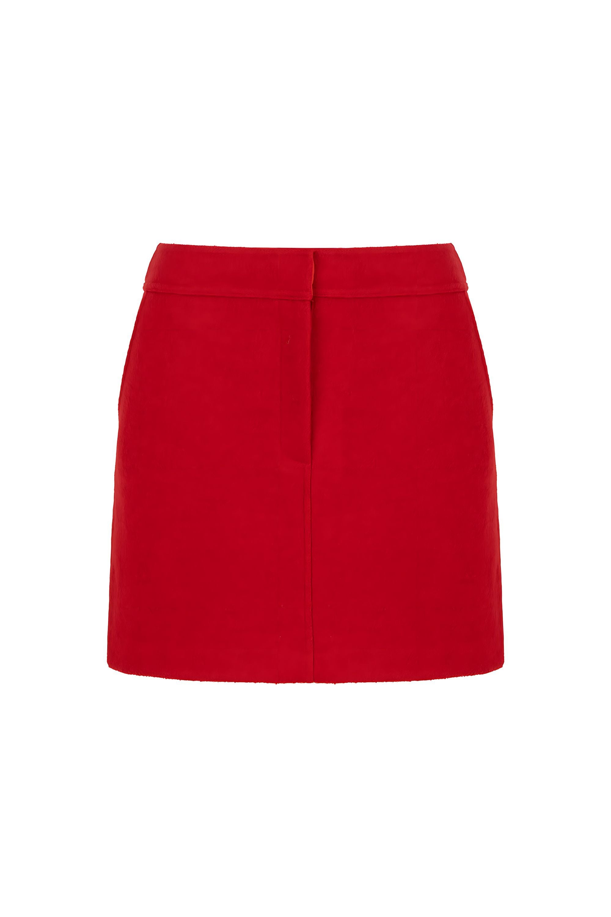 Cachet Mini Skirt