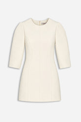 Balloon Sleeve Seam Detail Mini Dress