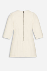 Balloon Sleeve Seam Detail Mini Dress