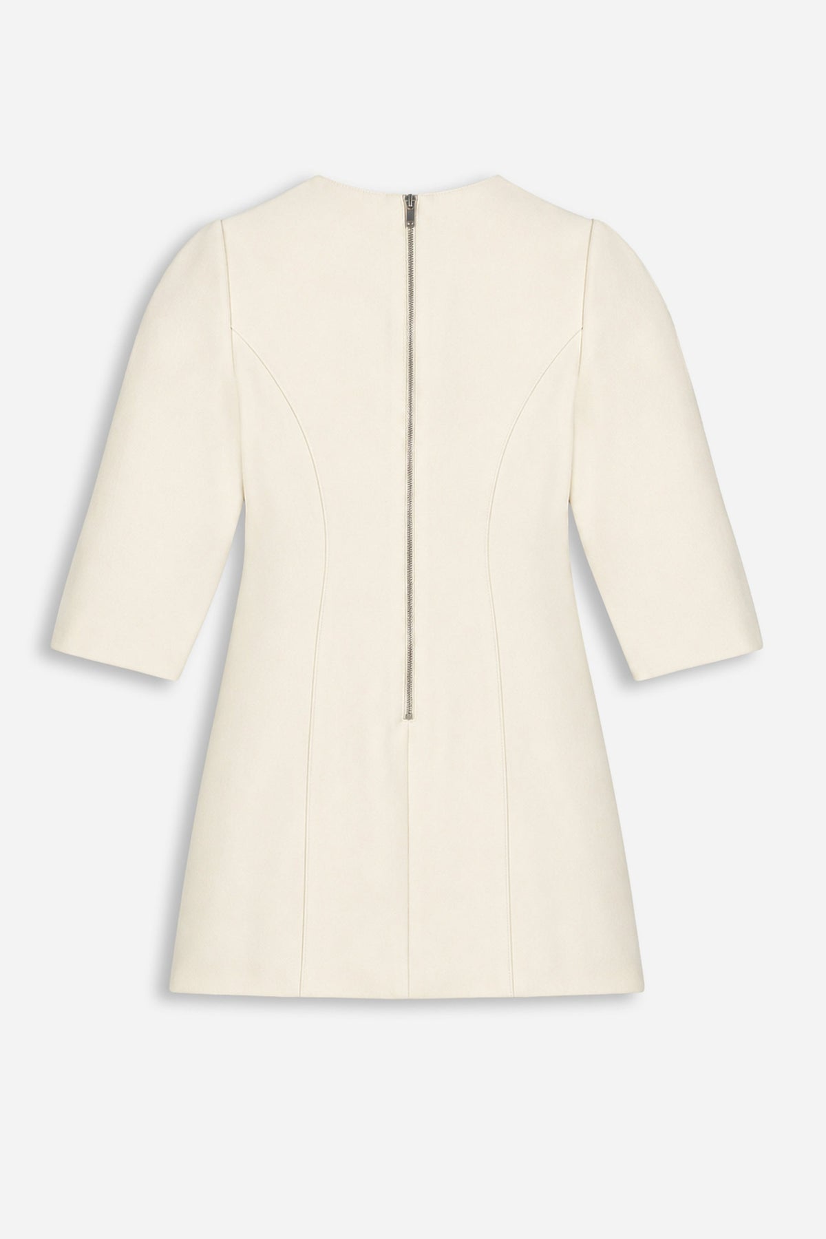 Balloon Sleeve Seam Detail Mini Dress